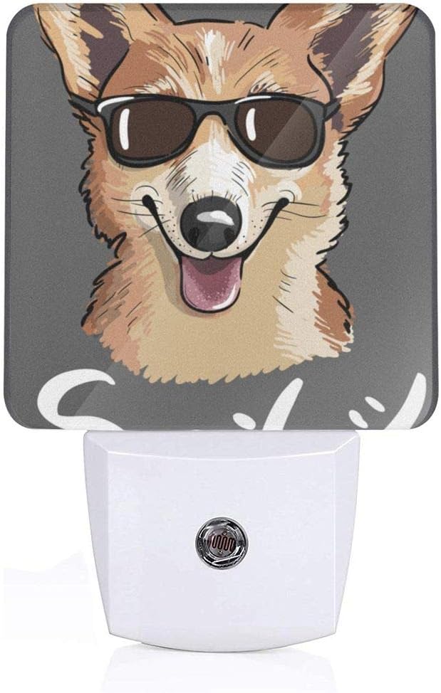 dog wearing sunglasses