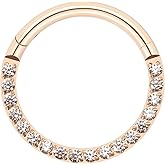 BLISI G23 Titanium Nose Rings Hoop Septum Clicker 16G Hinged Nose Segment Ring Hoop 8mm/9mm/10mm Cubic Zirconia Cartilage Earrings Conch Daith Helix Rook Tragus Ear Body Piercing Jewelry