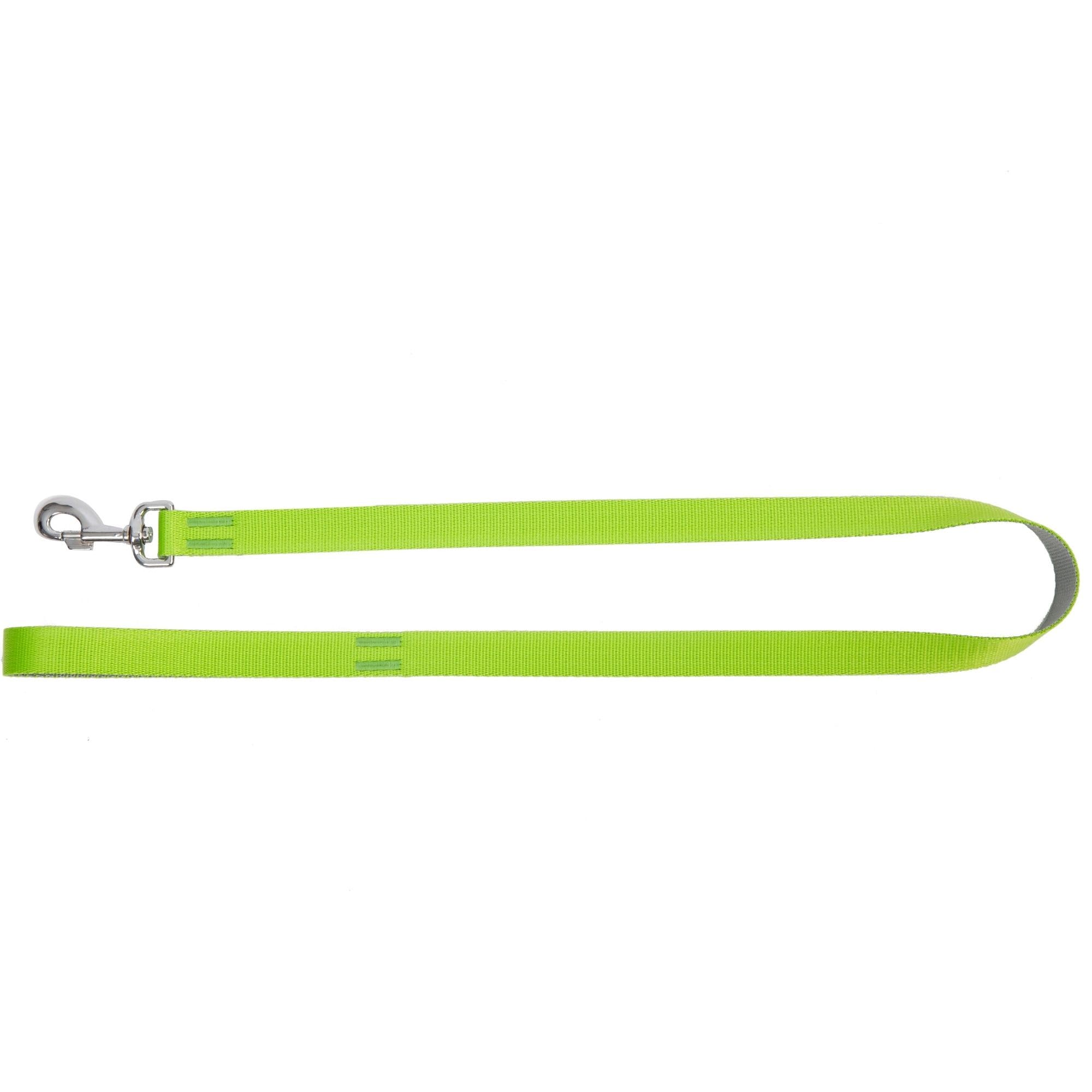 Dingo Dog Leash Handmade Green with Silver Contrast 14716