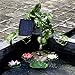Weanas 9V 2.5W Solar Powered Black Plastic Fountain Pump with Built-in Battery Backup for Garden Fountain Pond Pool Outdoor
