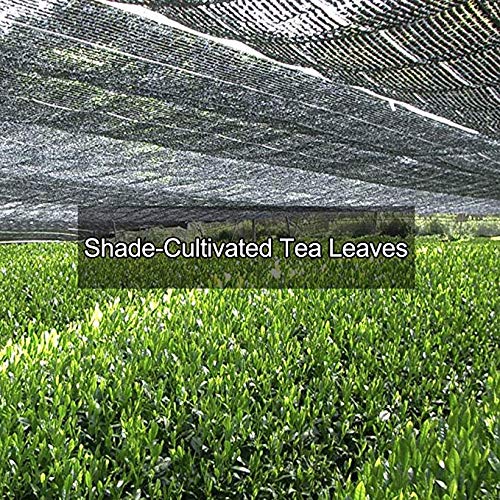 image for Tmatcha Matcha Green Tea Powder 4oz- USDA Organic - Japanese Matcha - 
