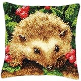 DIY Latch Hook Kits Yarn Kits Pillow Rug Pattern