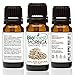 Biofinest Moringa Organic Oil - 100% Pure, Natural, Cold-Pressed - Premium Moisturizer - Soothe Acne, Psoriasis, Eczema, Dry Skins, Scars - FREE E-Book (10ml)
