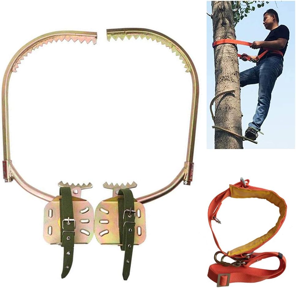 LWWL Tree Climbing Spike Set,Electrician Climbing Trees Foot Buckle