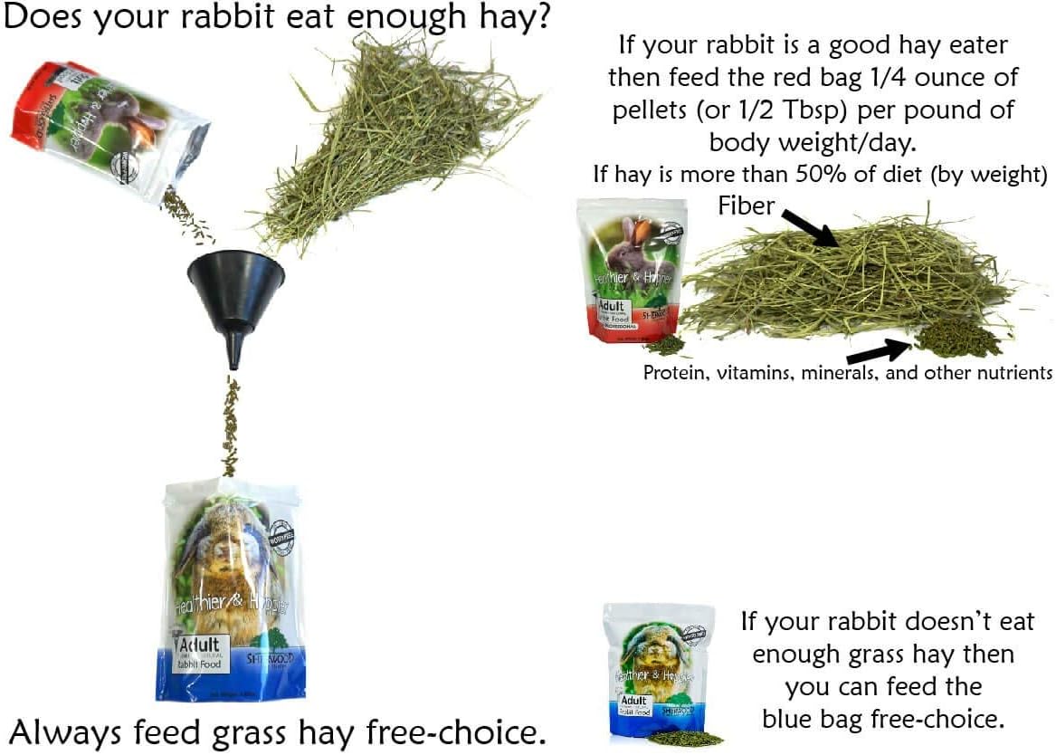 pellet free rabbit diet