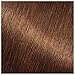 Garnier Nutrisse Ultra Color Nourishing Permanent Hair Color Cream, HL1 Rich Toffee (2 Count) Brown Hair Dye