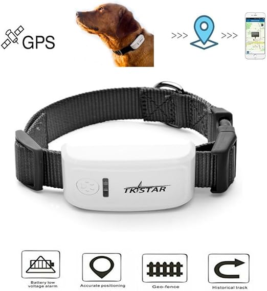 gps tracking collar for dogs