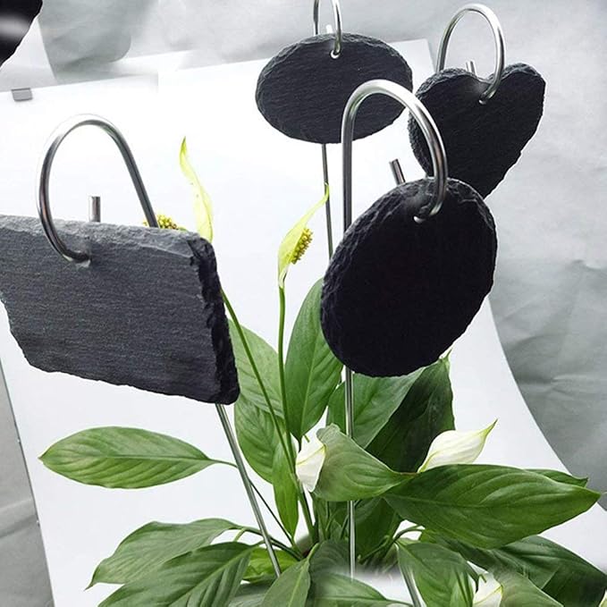 Birmingfive - Etiquetas de Pizarra para Plantas, estaca de Acero ...