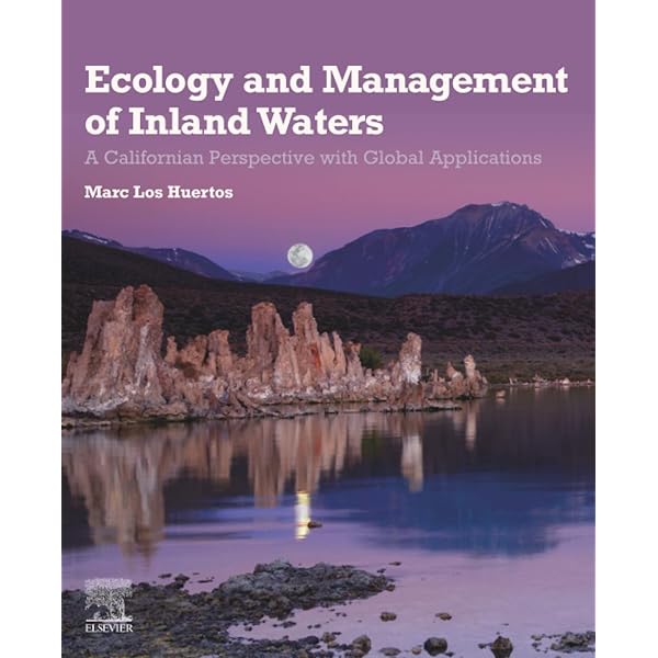 Coral and Concrete (Asia Pacific Flows): Dvorak, Greg