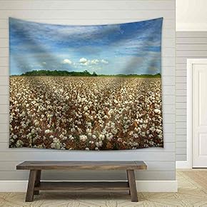 Cotton Field Ready for Harvest - Fabric Wall Tapestry Home Decor - 51x60 inches