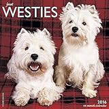 2016 Just Westies Wall Calendar