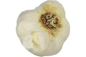 BRISTOL FARMS Garlic Organic, 2 Ounce