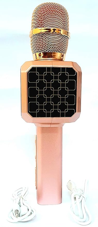 landmark wireless microphone with speaker