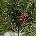 Artificial Weather Resistant Ming Pine Picks with Pinecones - (Set of 12) Use in Holiday Decorating and Christmas Floral Arrangements by Factory Direct Craft (9