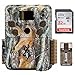 Browning Strike Force Pro Micro Trail Camera (18MP) with 32GB Memory Card and Memory Card Reader