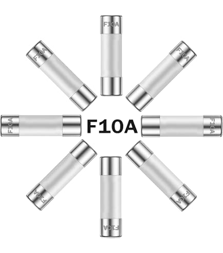 BUSSMANN ABC-4 4 Amp Ceramic Fuse, 250V, Fast Acting, UL Listed (Pack Of 5)