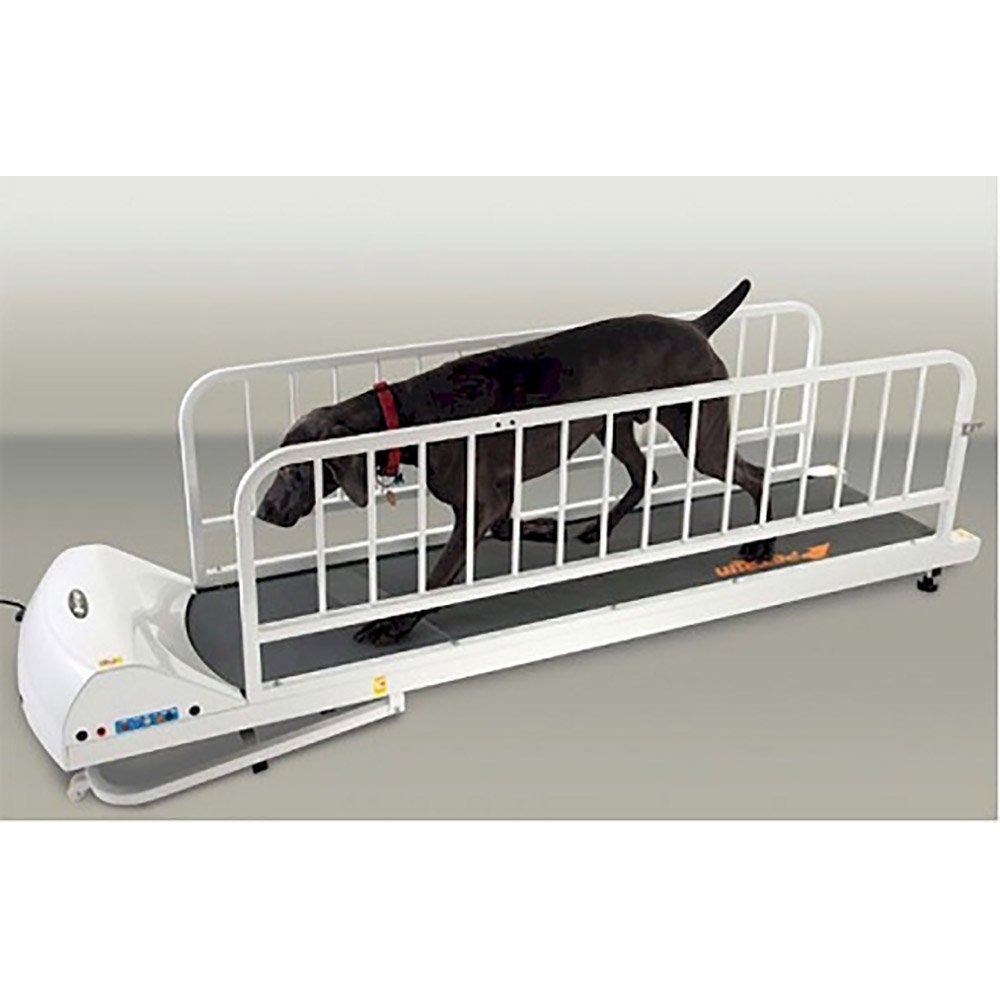 PetRun PR725 Dog Treadmill GoPet Pet Supplies