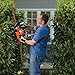 BLACK+DECKER HT22 Hedge Trimmer, 22
