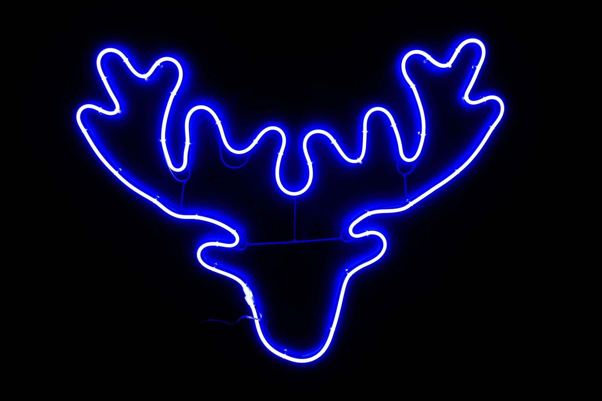 SHATCHI Stag Head Neon Effect Rope Light Silhouette Double Side 90 Blue LEDs Christmas Outdoor Home Wall Garden Holiday Festive Decorations