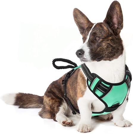 pawaboo harness