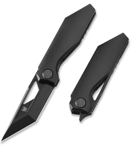 Amazon.com : Cavolknife Kamasu Front Flipper Folding Knife,3.74