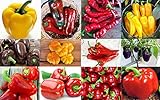 PLEASE READ! THIS IS A MIX!!! 30+ ORGANICALLY GROWN Sweet Pepper Mix Seeds, 12 Varieties Heirloom NON-GMO, Pimento, Purple Beauty, From USA