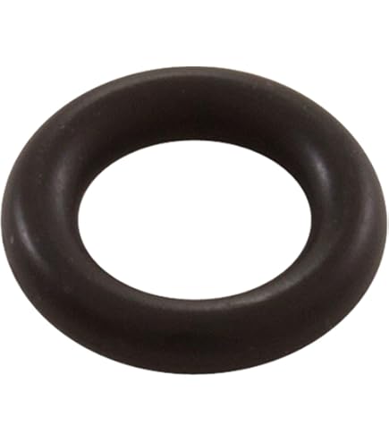 Amazon.com: Bleeder, Pentair, with O-Ring : Patio, Lawn & Garden