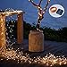 Goodia Copper Wire String Lights, 33ft 100 Micro LEDs Solar Firefly Lights Waterproof Decorative Lighting, Warm White