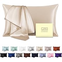 Natural Mulberry Silk Pillowcase for Hair and Skin Queen Size 20"X30" Silk Pillow Case with Hidden Zipper Soft Breathable Smo