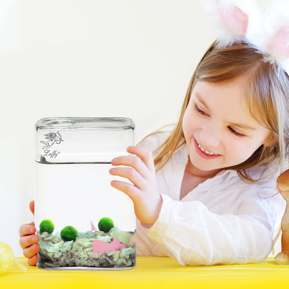Luffy Pet Plant for All Ages -- 6 Nano Moss Balls - Friendly, Compact & Low Maintenance Aquatic Pet - Lifelong Friend - Ideal for children or adults with busy schedule or little space
