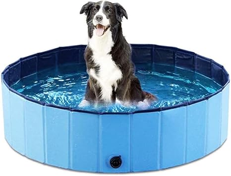 Amazon Co Jp 1cm折りたたみ式大型犬用プールペット犬猫パドリングバスプール犬用子供用大型浴槽猫 47インチx 11 8インチ 1センチx 30 Cm ブルー Home Kitchen