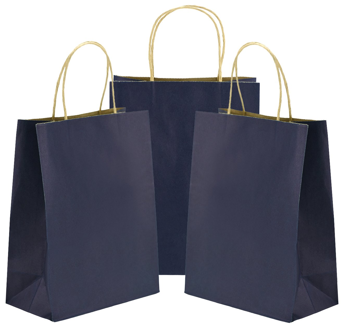 Pack of 24 Medium Navy Kraft Paper Carrier Bags with Reinforced Twisted Handles (21 x 11 x 27cm / 8.3’’ x 4.3’’ x 10.6’’) -FiveSeasonStuff