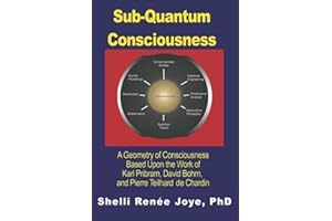Sub-Quantum Consciousness: A Geometry of Consciousness Based Upon the Work of Karl Pribram, David Bohm, and Pierre Teilhard De Chardin