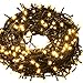 Excelvan Safe 24V 250 LEDs 50M/164FT Christmas Lights String Fairy Lights DC Transformer with Green String 8 Modes for Indoor Outdoor Party Wedding Decoration(Warm White)