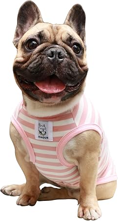 frenchie t shirts for dogs