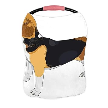 dog high chair amazon