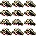 Funny Party Hats Pirate Party Hats - 12 Pack - Pirate Party Supplies - Pirate Birthday Hat (Polka Dots Paper Pirate Hats - 12 Pack)