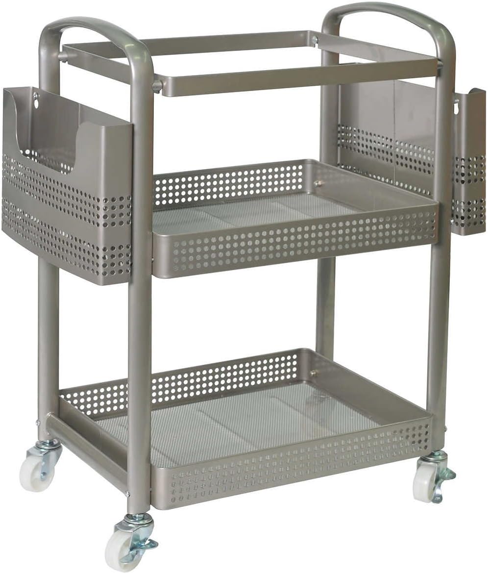 Sunrising International Mobile File Organizer Cart Rack with Locking Wheels, Holds Letter and Legal Size Files, Silver Metal Frame
