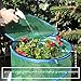 PHI VILLA Outdoor Pop Up Greenhouse-Small Flower Plant Greenhouse 17.7