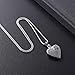 memorial jewelry No Longer by My Side,But Forever in My Heart Carved Locket Cremation Urn Necklace for Pet Dog Cats(Light Blue)