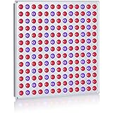 LED Grow Light Panel 45W, Reflector LED Plant Growing Light with Red Blue Bulbs Spectrum for Indoor Plants Veg Seedling Growing and Flowering by Lightimetunnel