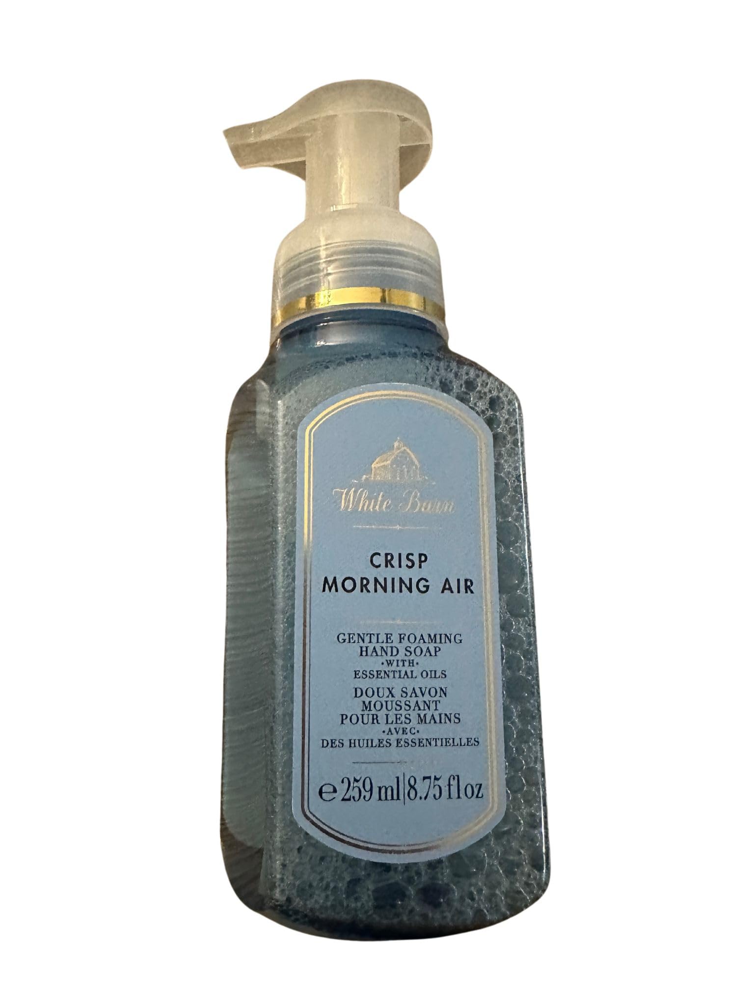 Bath & Body Works Foaming Hand Soap 8.75oz & 259ml (Crisp Morning Air)