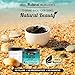 Organic Dead Sea Mud Mask - Face and Body Beauty Detox Treatment, Deep Skin Cleanser - Helps Reduce Pores, Acne, Stretch Marks, Cellulitis and Wrinkles - Brush Included - by Venu