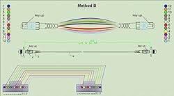Jeirdus MPO-MPO Patch Cord, OM3 Multimode