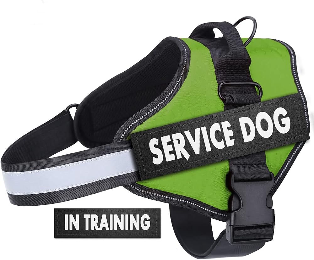 Belababy Soft No Pull Dog Harness Medium Reflective Adjustable Green