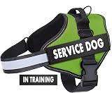 Belababy Soft No Pull Dog Harness Medium Reflective Adjustable Green