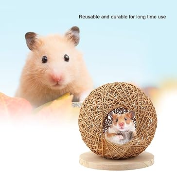 Amazon ファッショナブルな3色のハムスターケージ 手作りのハムスターの隠れ家 ペットの睡眠用木製 Primary Color Medium Plyisty 飼育ケージ内装 通販