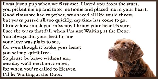 Advanta de mascotas de juguete con DUELO pérdida con inscripción ...