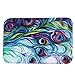 StyleV Area Rug, Colorful Door Kitchen Carpets Memory Foam Bathroom Absorbent Non-Slip Mat Floor Mats Rugs Carpet Home Decor (M, Purple)