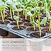 Growneer 10
